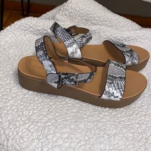 Express snake print sandals